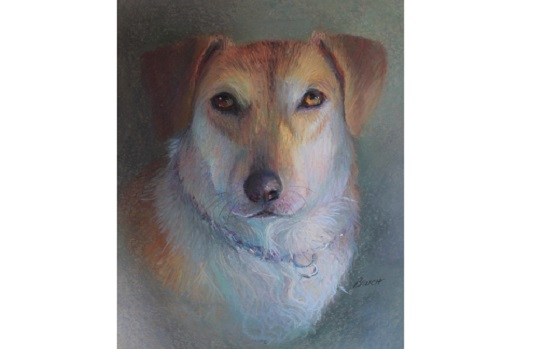 Exhibit: Marlene E. Bezich